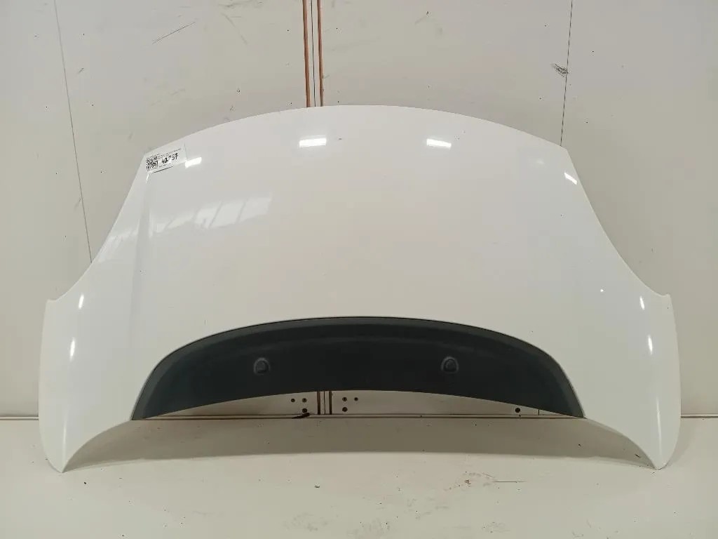 Cofano ANT 1689787180 Fiat 500L 2013