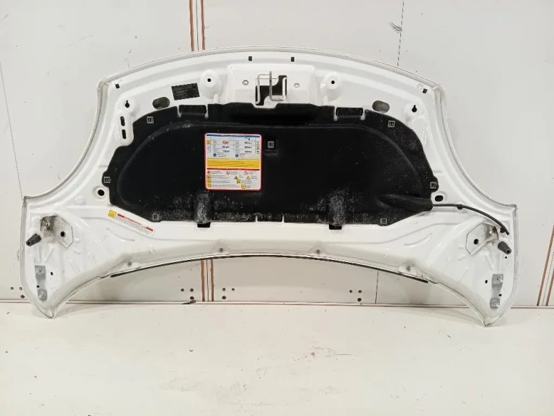 Cofano ANT 1689787180 Fiat 500L 2013