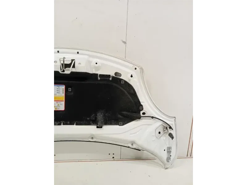 Cofano ANT 1689787180 Fiat 500L 2013