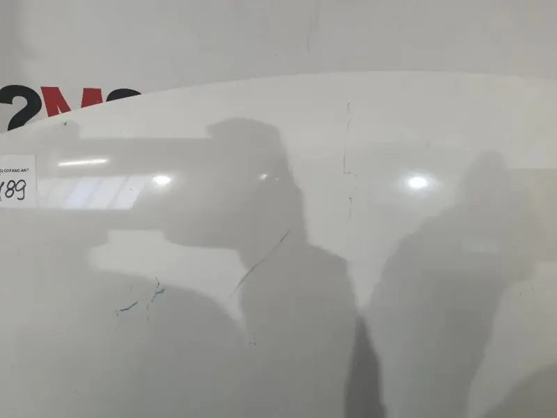 Cofano ANT 51883012 Fiat 500L 2013