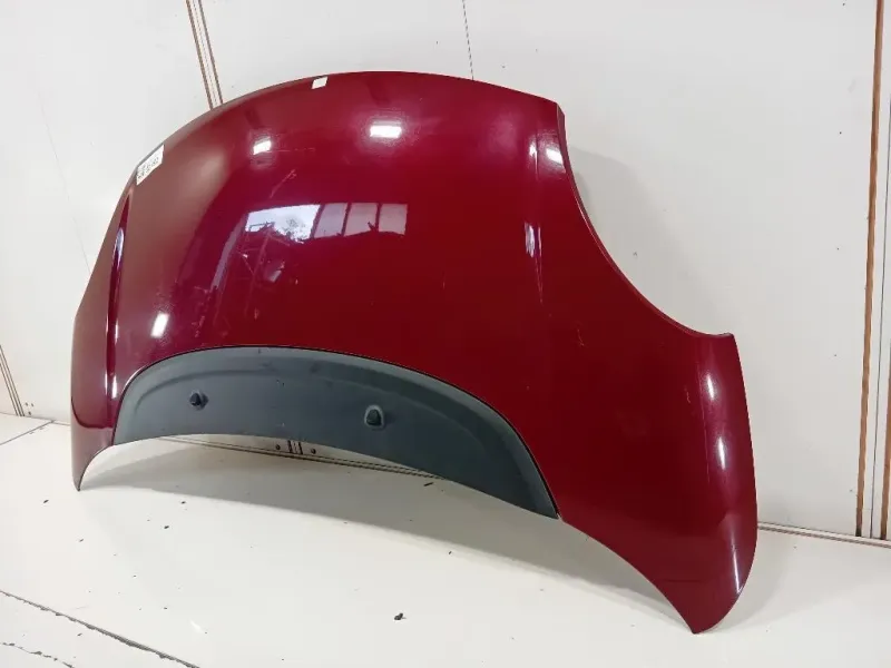 Cofano ANT 1689787180 Fiat 500L 2013