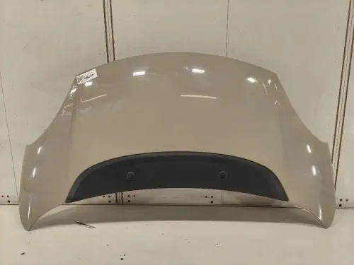 Cofano ANT 1689787180 Fiat 500L 2013