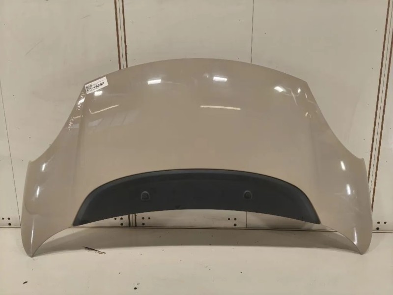 Cofano ANT 1689787180 Fiat 500L 2013