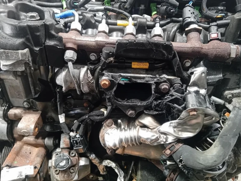 Motore Completo YLF6 105 CV 77 KW Ford Transit Custom I 2013