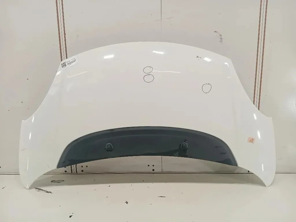 Cofano ANT 1689787180 Fiat 500L 2013