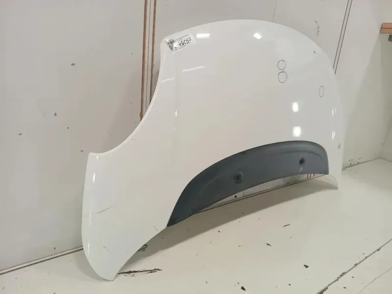 Cofano ANT 1689787180 Fiat 500L 2013