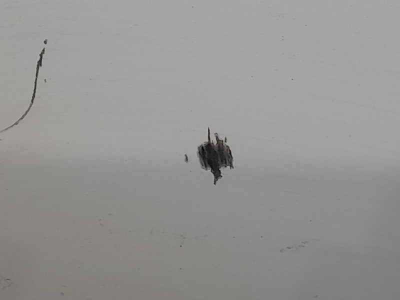 Porta ANT SX 52136363 ORIGINALE Fiat 500 C 2008