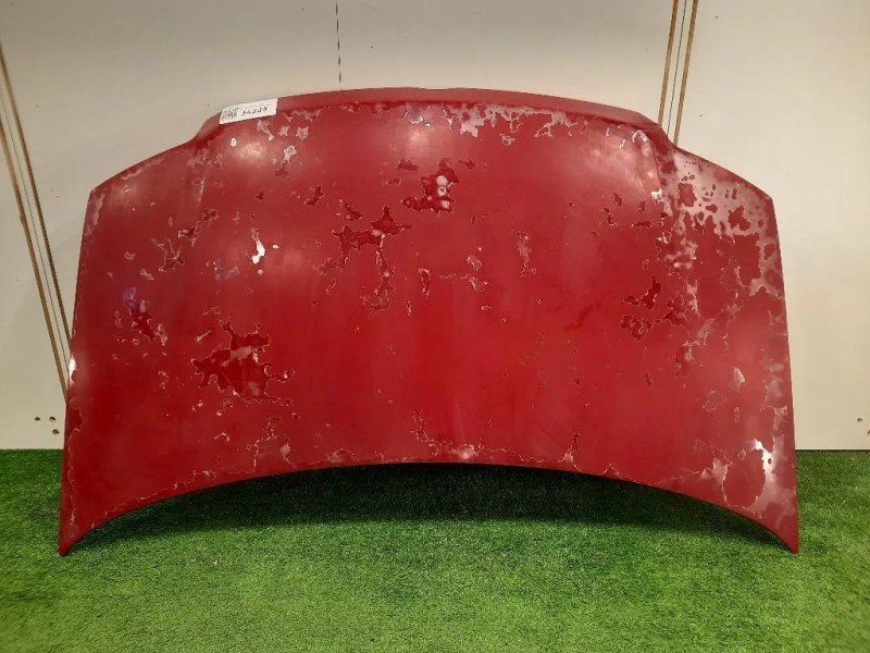 Cofano ANT 51876323 Fiat Panda II 2009