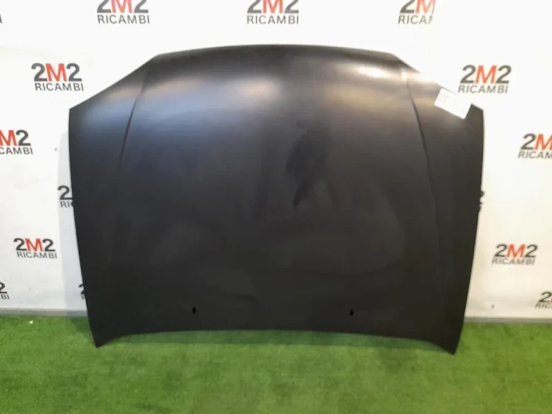 Cofano ANT 1014869 Ford Fiesta IV 1996