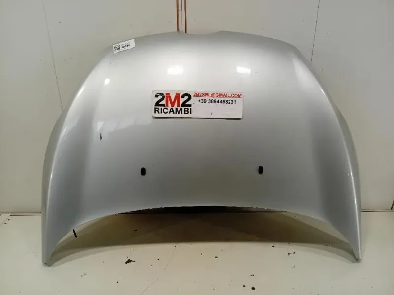 Cofano ANT COFANO ANT Ford Fiesta VI 2012