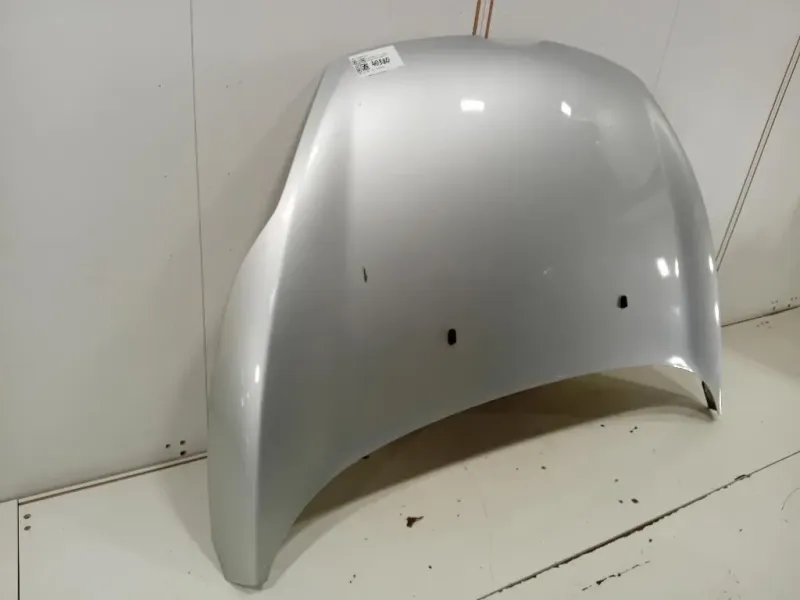 Cofano ANT COFANO ANT Ford Fiesta VI 2012