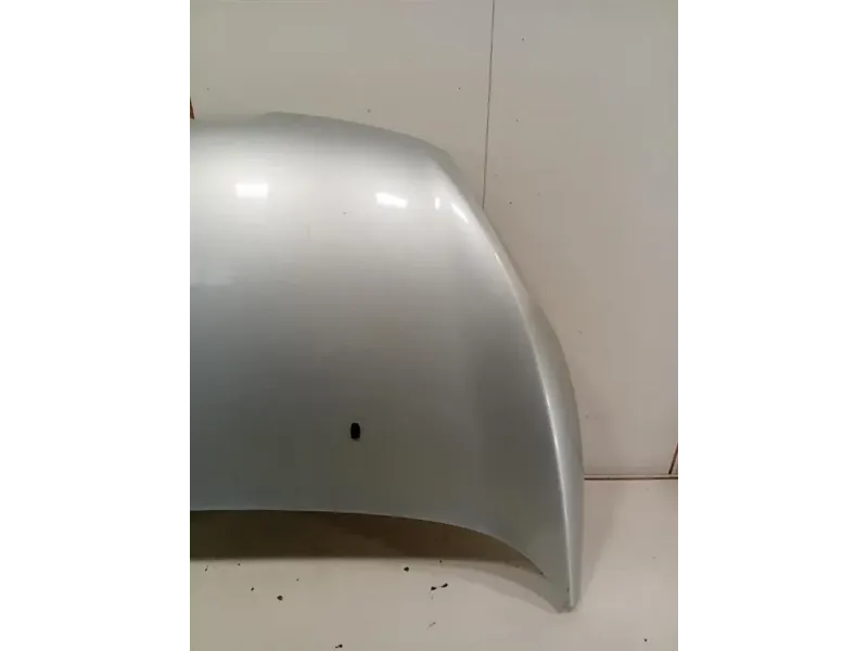 Cofano ANT COFANO ANT Ford Fiesta VI 2012