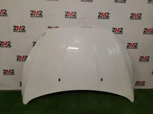 Cofano ANT 1852919 Ford Focus IV 2014