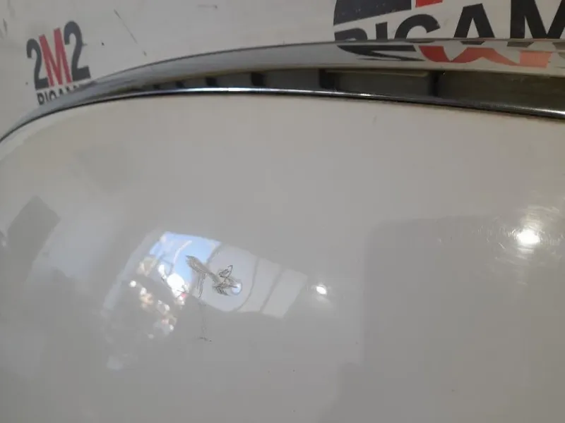 Cofano ANT 1718513 Ford KUGA I 2008