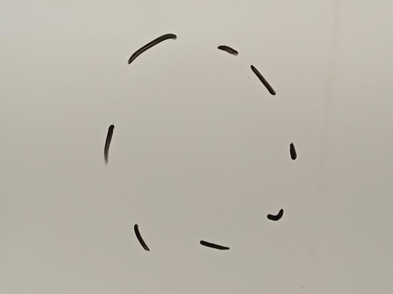 Porta ANT SX 51883217 Fiat 500L 2013