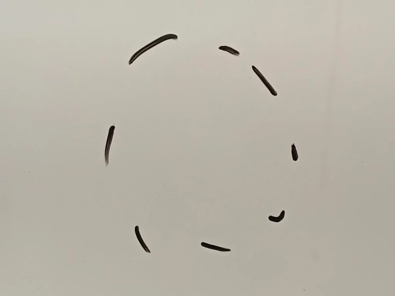 Porta ANT SX 51883217 Fiat 500L 2013