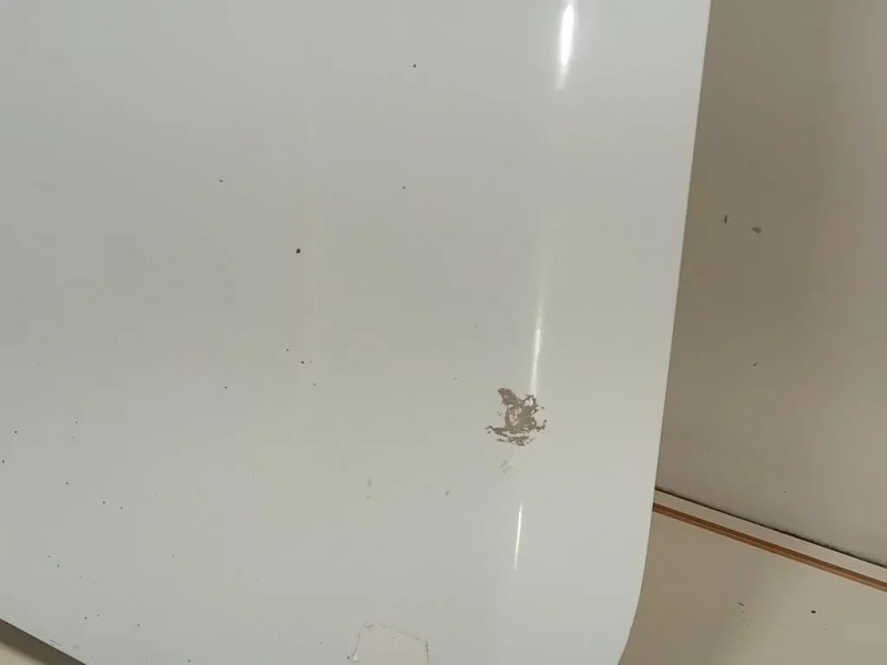 Cofano ANT 5328850 Ford Ranger IV 2012