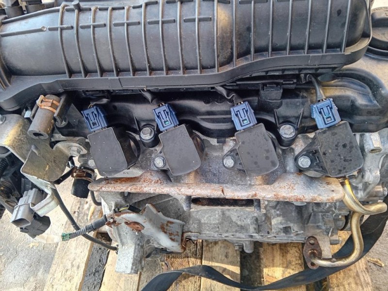 Cofano ANT 2137770 Ford Transit VI 2014