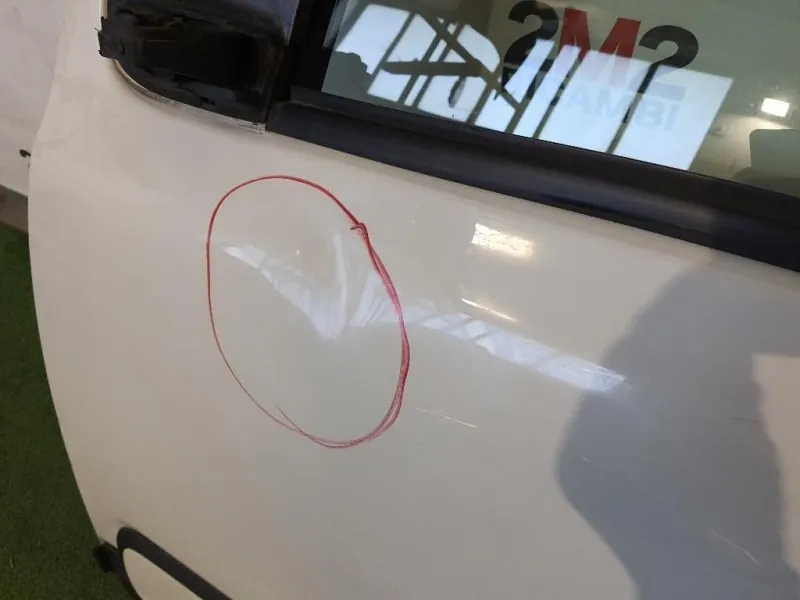 Porta ANT SX 52098468 Fiat Panda III 2012