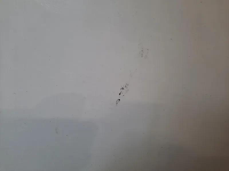 Porta ANT SX NUDA 51846217 Fiat Punto EVO 2010