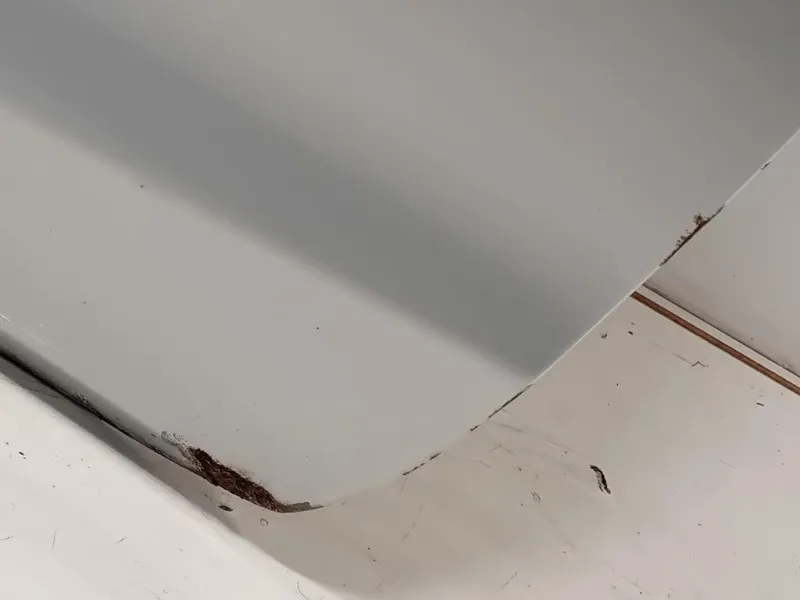 Porta ANT SX 1691261 Ford Fiesta VI 2008