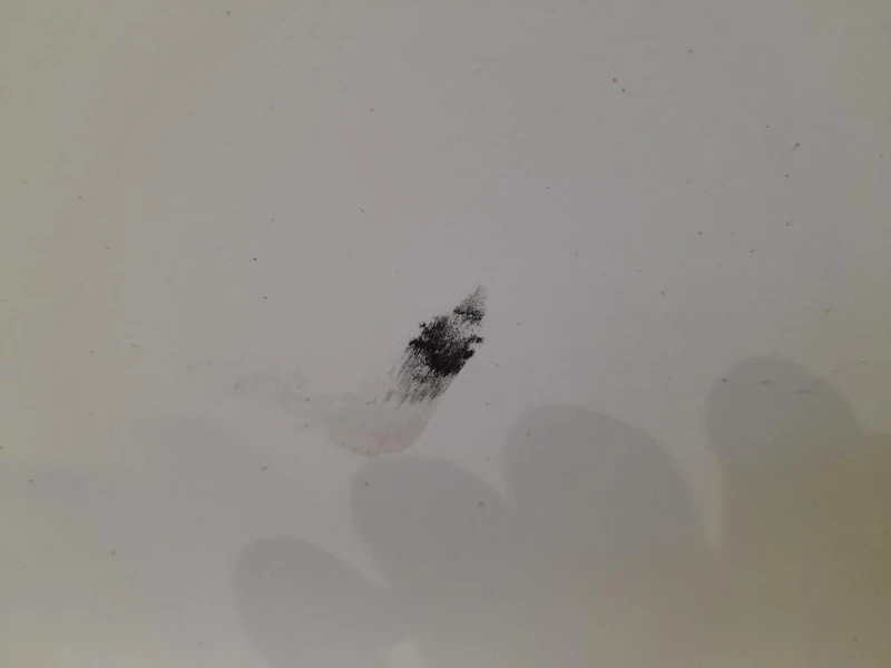 Porta ANT SX 2147846 Ford Focus IV 2011