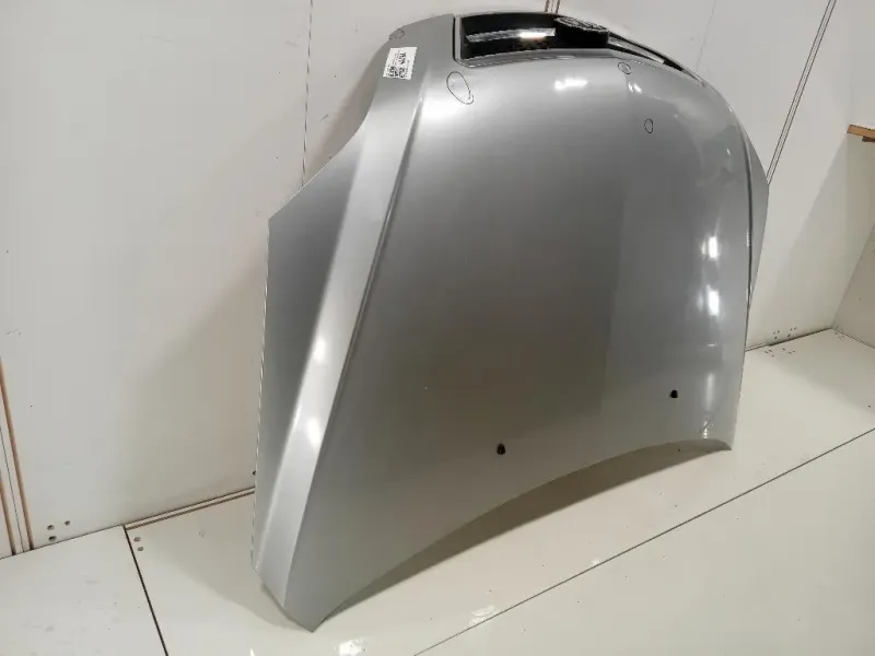 Cofano ANT 664003E310 Kia Sorento II 2006