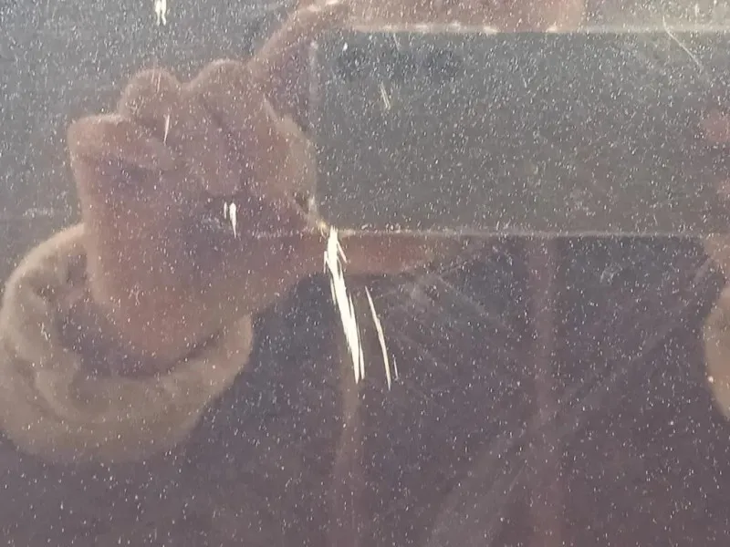 Cofano ANT LR123437 Land Rover Range Rover Evoque I 2011