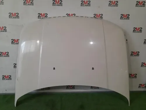 Cofano ANT BKA790050 Land Rover Range Rover Sport II 2009