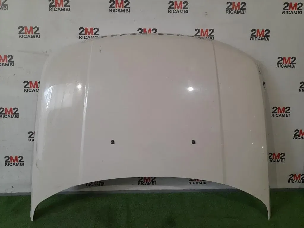 Cofano ANT BKA790050 Land Rover Range Rover Sport II 2009