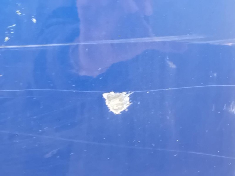 Porta ANT SX 2445470 Ford Transit Custom I 2013