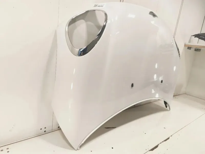 Cofano ANT 41009805935 Mini Countryman Cooper R60 2010