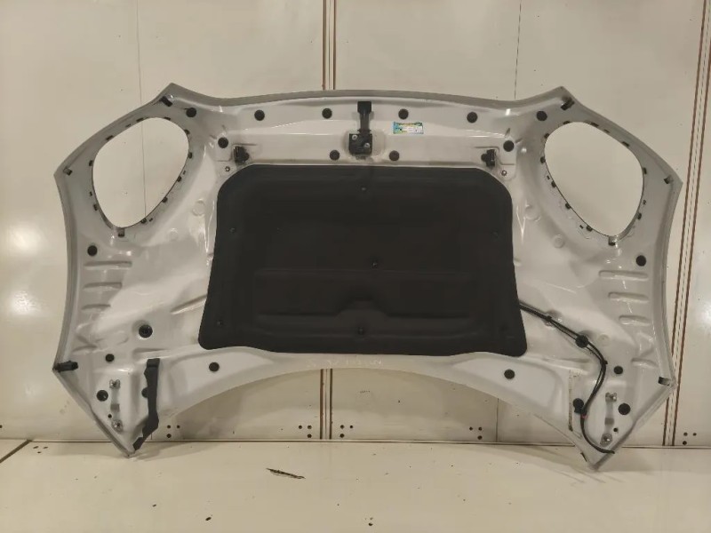 Cofano ANT 41009805935 Mini Countryman Cooper R60 2010