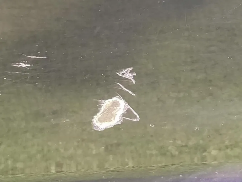 Porta ANT SX C2Z2061 Jaguar XF I 2008