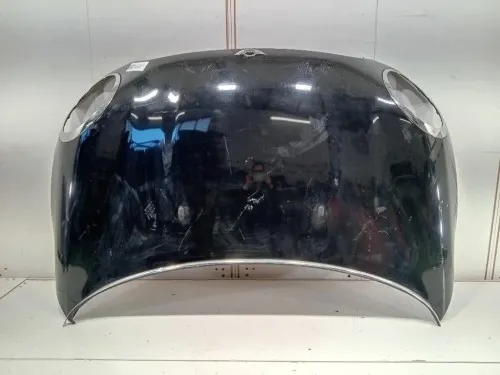 Cofano ANT 41617318364 Mini MINI ONE R56 2007