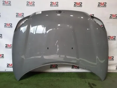 Cofano ANT 41612754738 Mini MINI ONE R56 2007