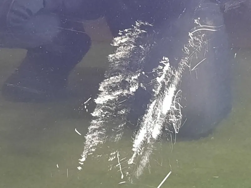 Porta ANT SX C2Z2061 Jaguar XF I 2011