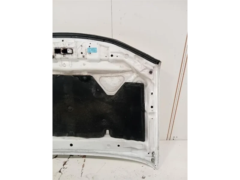 Cofano ANT F51005X3MA Nissan Navara 2010