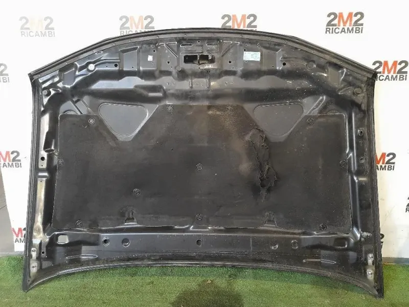 Cofano ANT F51005X3MA Nissan Navara 2010