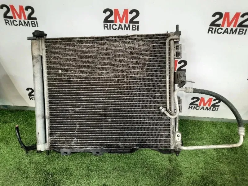 Cofano ANT F5100BJ0MA Nissan Nv200 2009