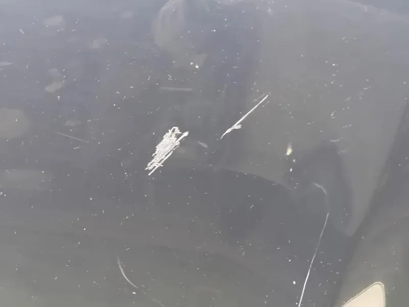 Cofano ANT F5100BR0MC Nissan Qashqai I 2010