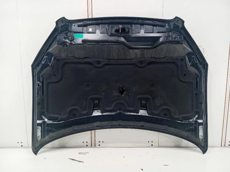 Cofano ANT F5100BR0MC Nissan Qashqai I 2010