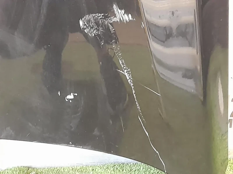 Cofano ANT 39059617 Opel Insignia A 2009