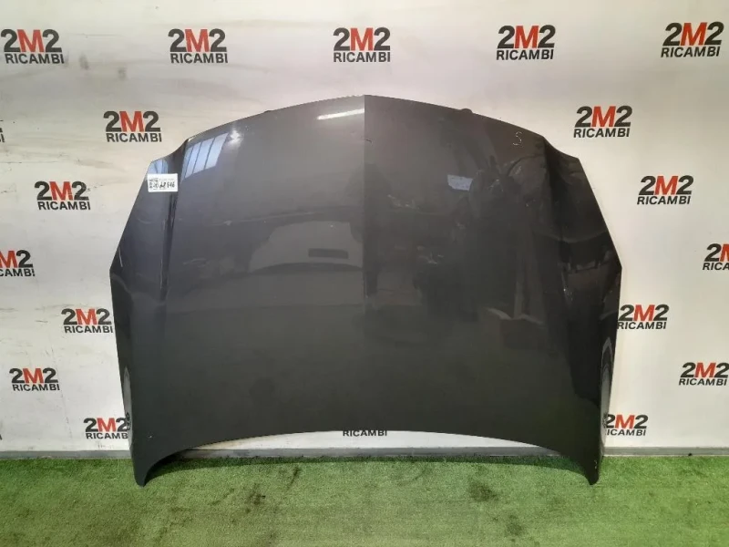 Cofano ANT 39059617 Opel Insignia A 2009