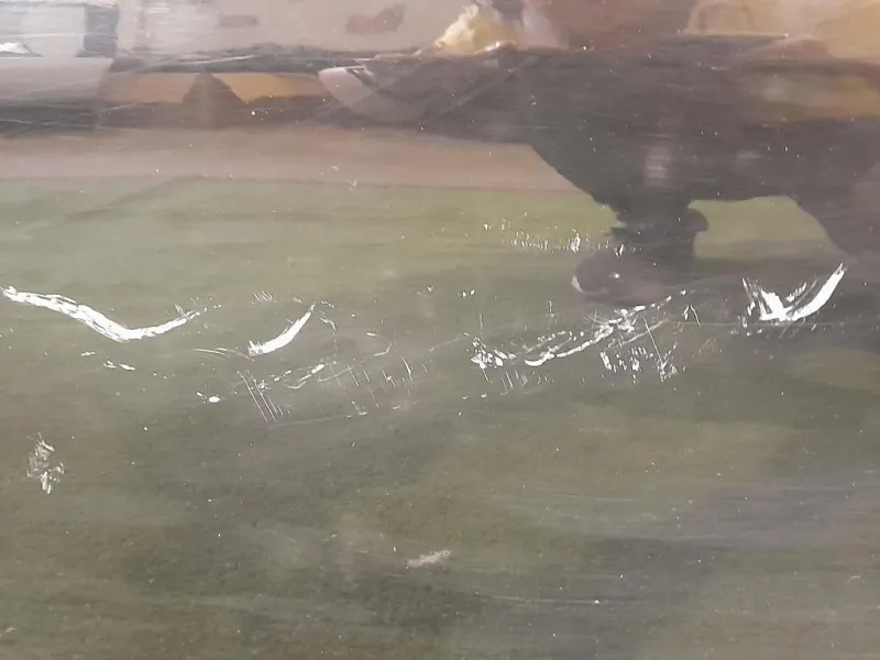 Porta ANT SX LR016463 Land Rover Discovery IV 2010