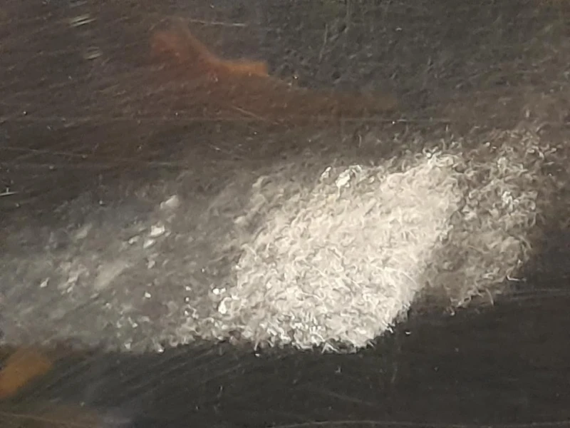 Porta ANT SX LR016465 Land Rover Range Rover Sport I 2005