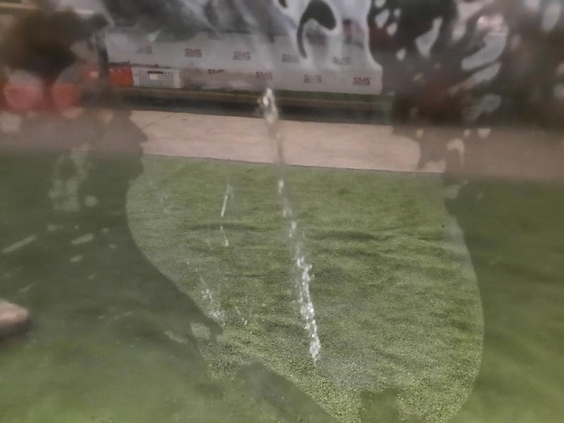 Porta ANT SX NUDA 6700248160 Lexus Serie RX IV 2016