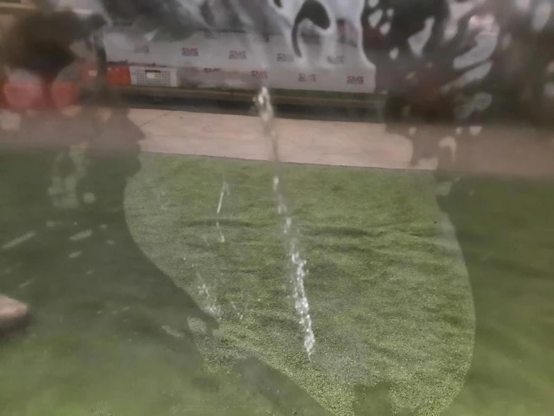 Porta ANT SX NUDA 6700248160 Lexus Serie RX IV 2016