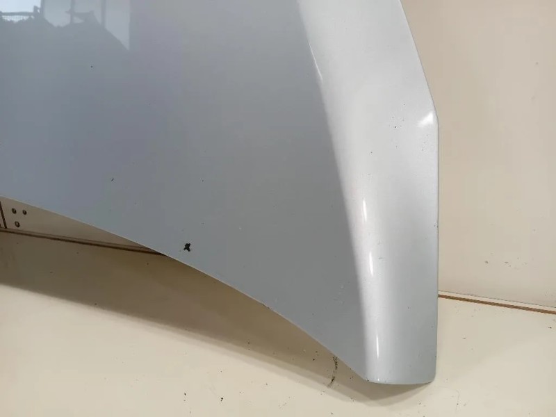 Cofano ANT COFANO ANT Opel Zafira C 2012