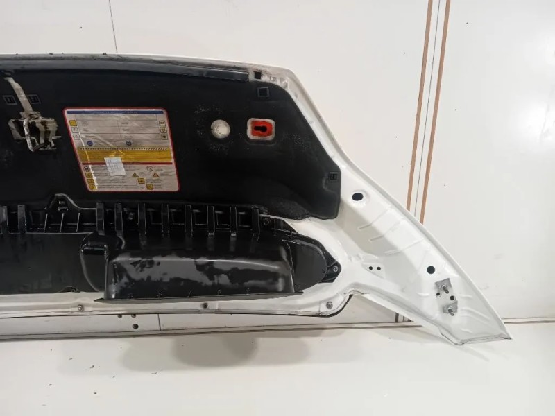 Cofano ANT 1686620980 Peugeot Boxer III 2014